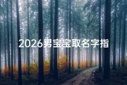 2026男宝宝取名字指南，生辰八字与潮流趋势全解析