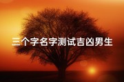 三个字名字测试吉凶男生—三个字的姓名男生