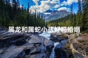属龙和属蛇小孩好吗婚姻(属龙和属蛇的子女关系)
