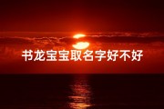 书龙宝宝取名字好不好