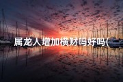 属龙人增加横财吗好吗(属龙的人有横财命吗)