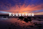 男女宝宝名字姓金