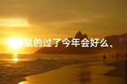 属鼠的过了今年会好么、属鼠的今年过完生日是多大