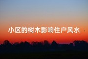 小区的树木影响住户风水吗