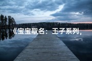 《宝宝取名：王子系列，好听又独特》