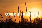 《命格之谜：儿童的神奇命运之旅》