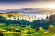 小孩小名字起什么好听、《宝宝取名宝典：精选小孩名字大全小名》