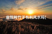 庭院种竹子有利风水吗(庭院种竹子：风水佳选，家居运势提升)