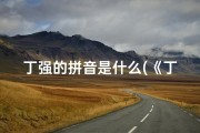 丁强的拼音是什么(《丁强名字吉凶详解大全查询攻略》)