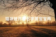 猫咪姓许取名字男宝宝两个字_猫咪取名男孩