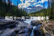 阳历十一月二十二是射手座吗？探寻星座奥秘