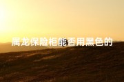 属龙保险柜能否用黑色的