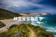 林龙宝宝取名字