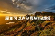 属龙可以克制属猪吗婚姻;属龙被什么克制