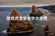 张姓虎宝宝名字大全男_姓张属虎的男孩名字