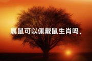 属鼠可以佩戴鼠生肖吗、属鼠戴生肖马可行吗？生肖搭配揭秘