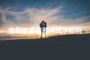 搬新家要辟邪吗风水好吗