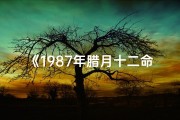 《1987年腊月十二命格：揭秘生肖兔年的幸运密码》