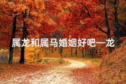 属龙和属马婚姻好吧—龙马姻缘，佳偶天成，幸福美满