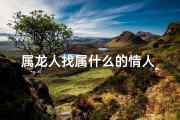 属龙人找属什么的情人_属龙情缘：寻找最佳配对生肖伴侣