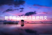 射手座会和前任复燃吗文案