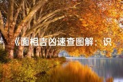 《面相吉凶速查图解：识人识运的秘诀》