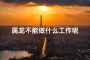 属龙不能做什么工作呢