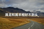 属龙和属羊相好不到头_属龙和属羊在一起好不好