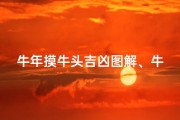 牛年摸牛头吉凶图解、牛年摸牛头吉凶图解大全