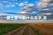 喜土喜火取什么名字,喜土火金龙宝宝，五行相生好运来