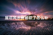 屋后风水树被砍了怎么补救(屋后树砍了，风水受影响？揭秘真相)