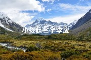 小孩起名字李应