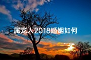 属龙人2018婚姻如何,属龙人2018年