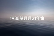 1985腊月月21年命格、《1985腊月月21年命格：揭秘命运转折点》