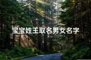 宝宝姓王取名男女名字