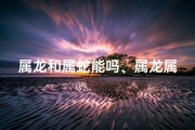 属龙和属蛇能吗、属龙属蛇能吗？风水解析揭秘