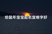 给鼠年宝宝起名宜啥字好听(鼠年宝宝起名宜用什么字)