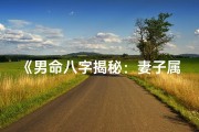 《男命八字揭秘：妻子属相匹配秘籍》
