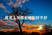 属龙人与属蛇婚配好不好,属龙属蛇姻缘：相吸还是相克？