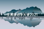 王男孩名字大全2021;《王男孩：童真世界里的成长故事》