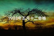 1988年五月十二命格—1988年阴历5月12日什么命