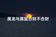 属龙与属鼠合财不合财
