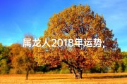属龙人2018年运势;2018生肖龙运势大揭秘：运势翻倍攻略