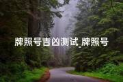 牌照号吉凶测试_牌照号码吉凶数理查询