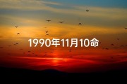 1990年11月10命格_1990年11月10日命格：揭秘独特命运密码