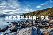 推窗养猫风水解析：家居风水新风尚