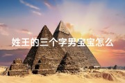 姓王的三个字男宝宝怎么取名