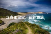 立春龙宝宝：迎春添瑞，吉祥如意新生儿