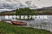 属龙今年要孩子吗吉利吗—属龙今年生育吉星高照？宜不宜要孩子？