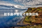 射手座不爱你还能挽回吗,射手座不爱你，还能挽回吗？
